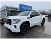 2020 GMC Sierra 1500 Elevation (Stk: 3B005A) in Blenheim - Image 8 of 18