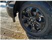 2023 Ford F-150 XLT (Stk: 23F5914) in Mississauga - Image 35 of 36