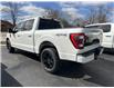2022 Ford F-150 Platinum (Stk: 22357) in Amherstburg - Image 2 of 9
