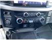 2023 Ford F-150 XLT (Stk: 8659) in Roblin - Image 14 of 20