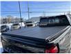 2020 Chevrolet Silverado 2500HD LTZ (Stk: 23096A) in Ste-Marie - Image 20 of 35