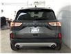 2020 Ford Escape Titanium Hybrid (Stk: 39910J) in Belleville - Image 6 of 26