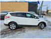 2016 Ford Escape SE (Stk: BP2165C) in Saskatoon - Image 6 of 19