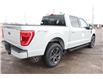 2023 Ford F-150 XLT (Stk: FS87926) in Windsor - Image 8 of 28