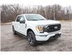 2023 Ford F-150 XLT (Stk: FS87926) in Windsor - Image 10 of 28