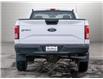 2017 Ford F-150  (Stk: B11269A) in Orangeville - Image 5 of 23