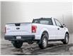 2017 Ford F-150  (Stk: B11269A) in Orangeville - Image 6 of 23