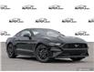 2023 Ford Mustang EcoBoost Premium Black