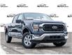 2023 Ford F-150 XLT Blue