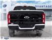 2019 Ford Ranger XLT (Stk: 6227) in Calgary - Image 5 of 30