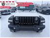 2023 Jeep Wrangler Sport (Stk: F234057) in Lacombe - Image 3 of 13