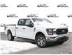 2023 Ford F-150 XLT White