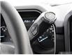 2023 Ford F-150 XLT White