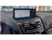 2023 Acura RDX A-Spec (Stk: 15-20190) in Ottawa - Image 3 of 29