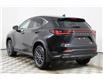 2023 Lexus NX 250 Base (Stk: 14104411) in Markham - Image 5 of 28