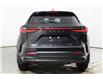 2023 Lexus NX 250 Base (Stk: 14104411) in Markham - Image 6 of 28