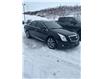 2016 Cadillac XTS Standard (Stk: 23066A) in Campbellton - Image 1 of 8