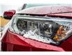 2020 Toyota RAV4 XLE (Stk: P0439) in Petawawa - Image 12 of 33