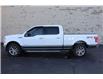 2017 Ford F-150  (Stk: TR90917A) in Windsor - Image 4 of 21