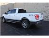 2017 Ford F-150  (Stk: TR90917A) in Windsor - Image 5 of 21