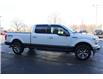 2017 Ford F-150  (Stk: TR90917A) in Windsor - Image 9 of 21