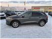 2020 Ford Escape SE (Stk: F0198) in Saskatoon - Image 2 of 20