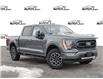 2023 Ford F-150 XLT (Stk: 3T122) in Oakville - Image 1 of 27