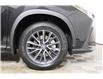 2023 Lexus NX 250  (Stk: 14104395) in Markham - Image 8 of 28