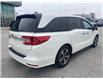2019 Honda Odyssey  (Stk: UM3082) in Chatham - Image 6 of 28
