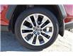 2019 Toyota RAV4 XLE (Stk: UT2283A) in Lethbridge - Image 6 of 32