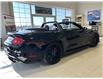 2022 Ford Mustang GT ROUSH (Stk: 119643) in Watford - Image 5 of 17