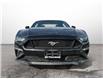 2023 Ford Mustang GT Premium (Stk: C3099) in St. Thomas - Image 2 of 25