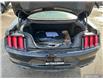 2023 Ford Mustang GT Premium (Stk: C3099) in St. Thomas - Image 12 of 25