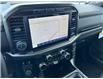 2023 Ford F-150 XLT (Stk: LT3078) in Nisku - Image 19 of 24