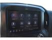 2020 GMC Sierra 1500 Denali (Stk: P1155A) in Watrous - Image 34 of 50