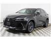 2023 Lexus NX 250  (Stk: 14104396) in Markham - Image 3 of 28
