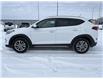 2017 Hyundai Tucson Premium (Stk: UT545B) in Prince Albert - Image 2 of 19