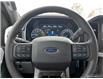 2023 Ford F-150 XLT (Stk: 3T265) in Oakville - Image 14 of 30