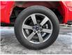 2016 Ford F-150 XLT (Stk: 1067) in Quesnel - Image 6 of 23