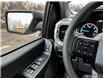 2023 Ford F-150 XLT (Stk: T3131) in St. Thomas - Image 17 of 25