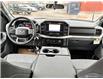 2023 Ford F-150 XLT (Stk: T3120) in St. Thomas - Image 24 of 25
