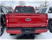 2023 Ford F-150 XLT (Stk: P30221) in Brampton - Image 5 of 14