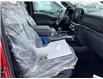 2023 Ford F-150 XLT (Stk: P30221) in Brampton - Image 8 of 14
