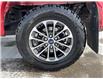 2019 Ford F-150 XLT (Stk: PEX002A) in Fort Saskatchewan - Image 10 of 31