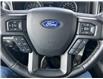 2019 Ford F-150 XLT (Stk: PEX002A) in Fort Saskatchewan - Image 17 of 31