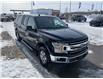 2020 Ford F-150 XLT (Stk: NLT160A) in Fort Saskatchewan - Image 5 of 30