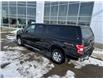 2020 Ford F-150 XLT (Stk: NLT160A) in Fort Saskatchewan - Image 11 of 30