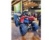 2023 Can-Am DS 250  (Stk: ATV23-031199) in Yorkton - Image 2 of 3