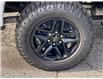 2023 Chevrolet Silverado 1500 Custom Trail Boss (Stk: 23-0098) in LaSalle - Image 4 of 20