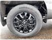 2023 Nissan Frontier SV (Stk: CPN635160) in Cobourg - Image 9 of 15
